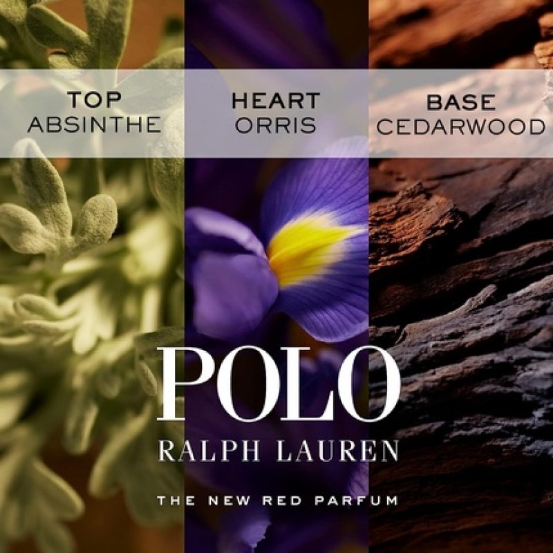 Ralph Lauren Polo Red Men's Cologne Ambery & Woody Intense Fragrance 5.10 Fl Oz