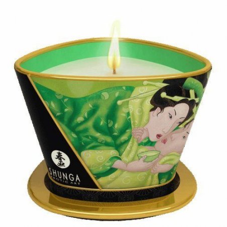 SHUNGA Exotic Green Tea 170 ml 1 pc(s) 40 h