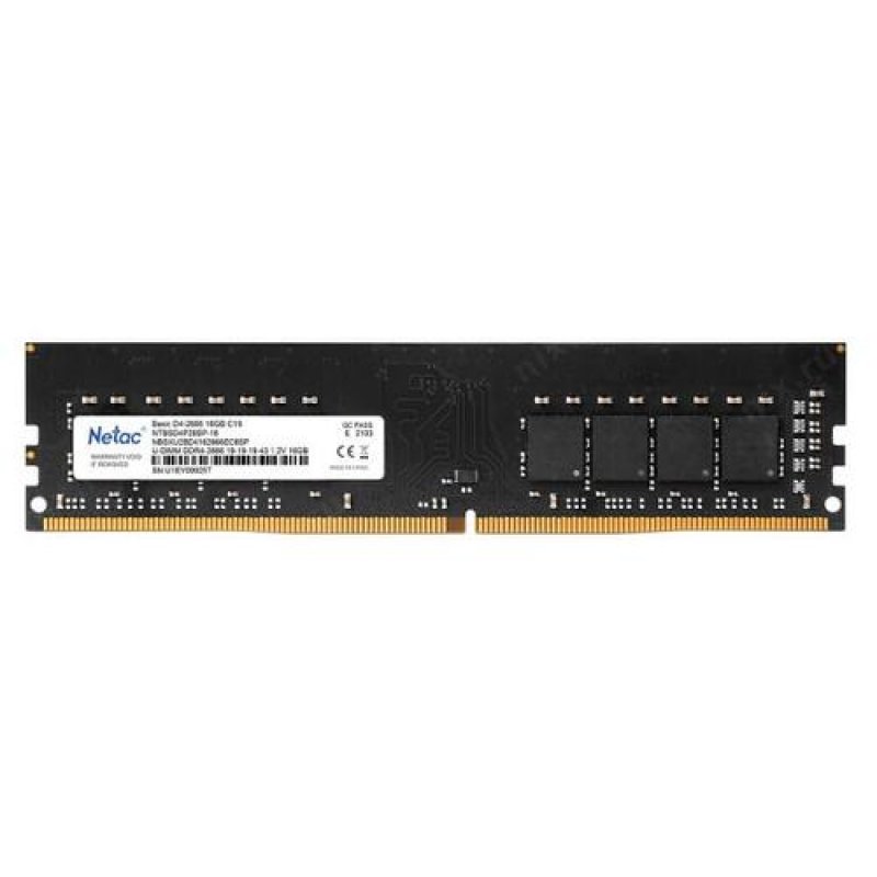 Netac NTBSD4P26SP-16 module de mémoire 16 Go DDR4 2666 MHz