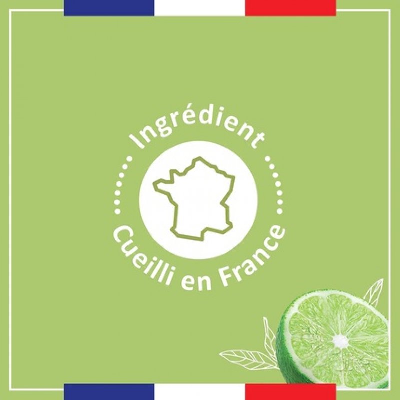 Le Petit Marseillais Extra Gentle Shower Gel Mandarin & Lime Organic 250ml