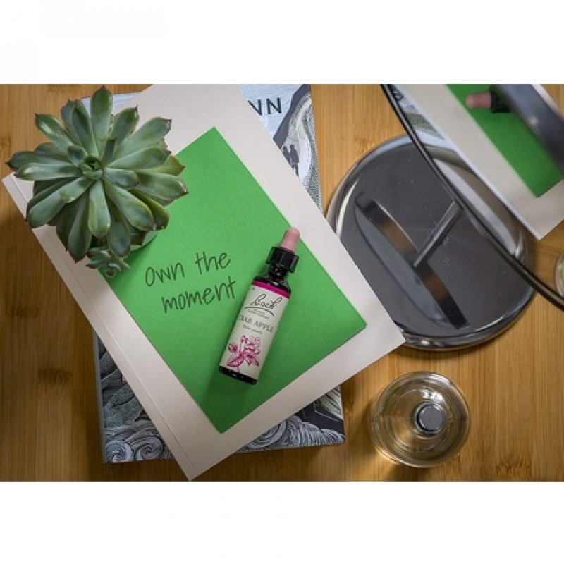 Nelsons Bach Red Chestnut 50ml