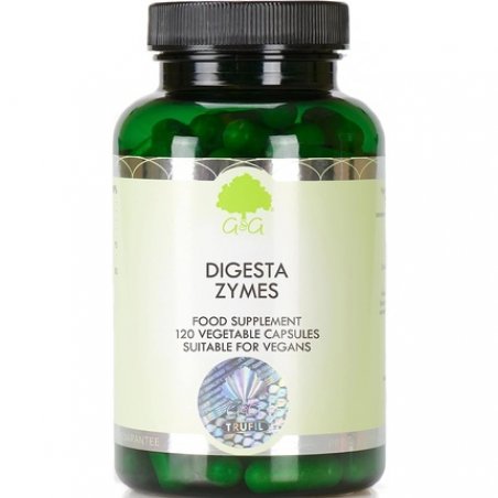 G&G Vitamins Digesta Zymes 120 Veg Capsules 74g