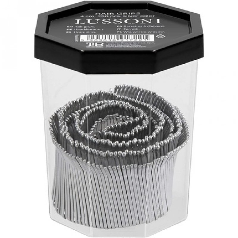 T4B LUSSONI 250 Pieces Hair Grips Hair Pins Smooth Hair Clips 4cm Silver