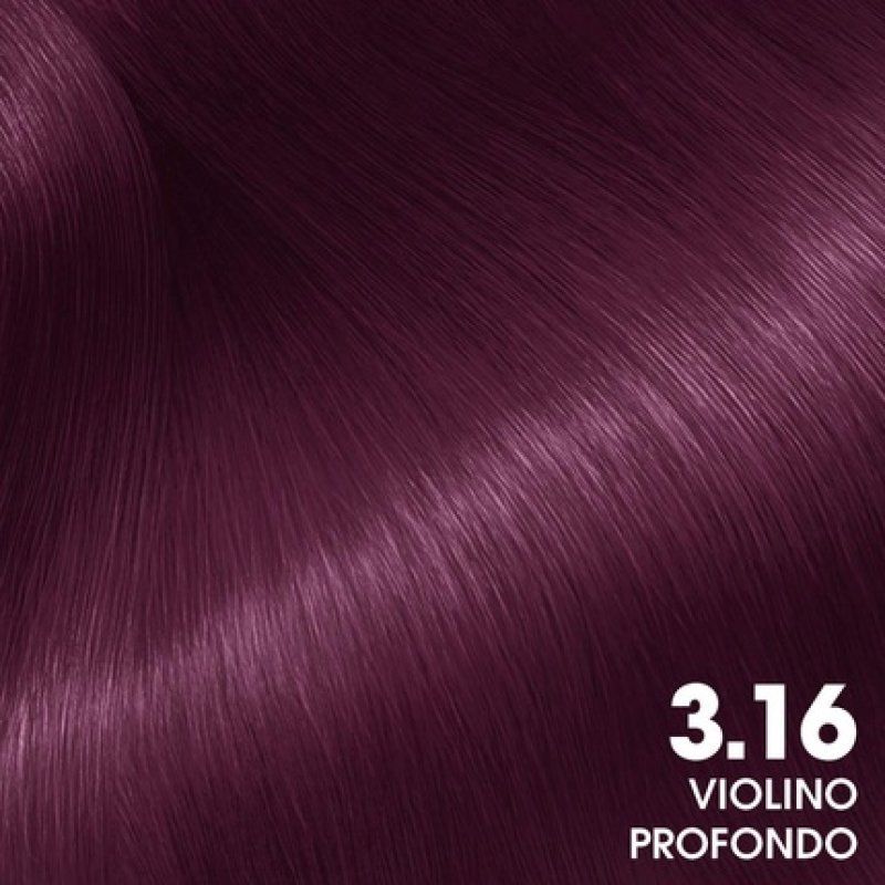 Garnier Permanent Oil Color without Ammonia with Flower Oils of Natural Origin Deep Violine