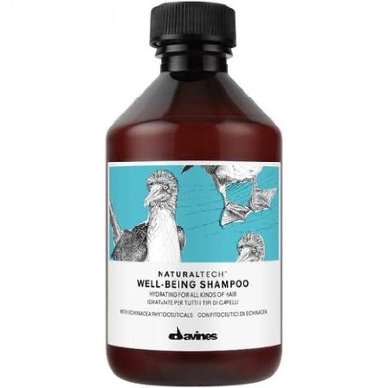 Davines Ntech Well-Being Shampoo 250ml