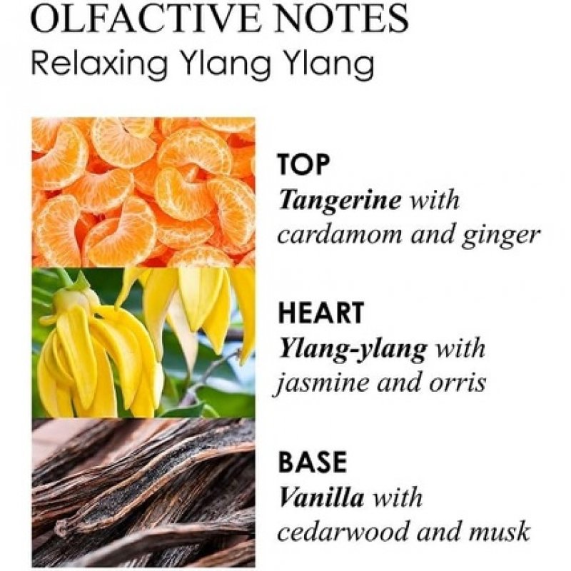 Molton Brown Relaxing Ylang-Ylang Body Lotion 300ml