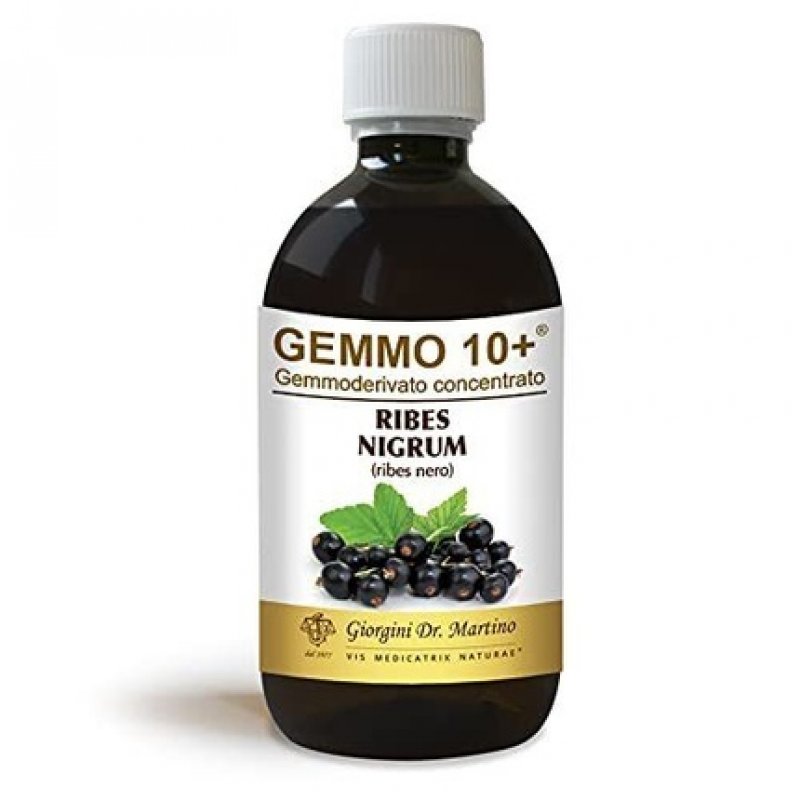 Dr. Giorgini Dietary Supplement Concentrated Blackcurrant Gemmoderivative Liquid