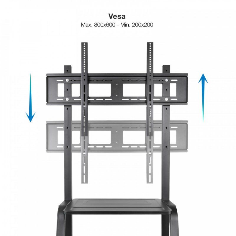 TooQ Coloso Floor Stand with Wheels for 37"-100" Screens