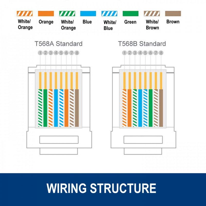 Ewent IM1206 wire connector RJ-45 Transparent