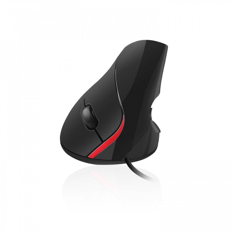 Ewent EW3156 souris USB Type-A Optique 1000 DPI