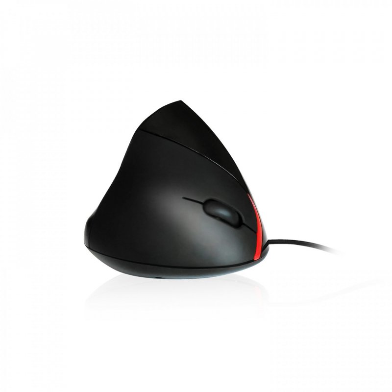 Ewent EW3156 souris USB Type-A Optique 1000 DPI