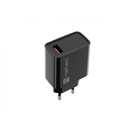 NATEC RIBERA Universal Black AC Fast charging Indoor