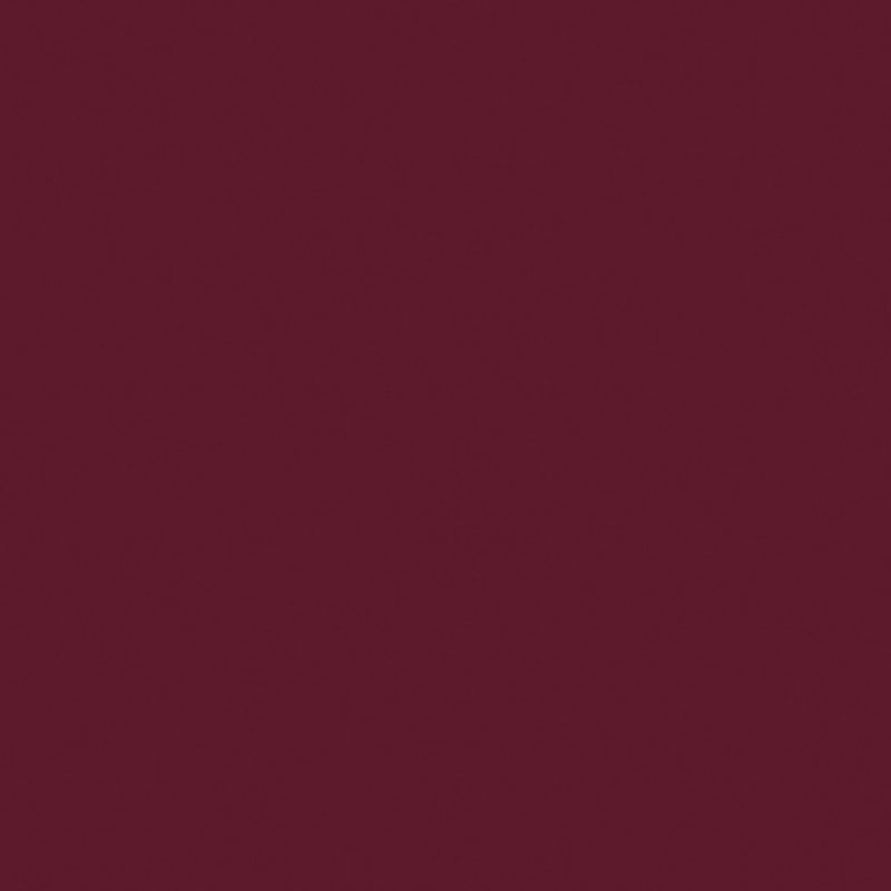 Naj-Oleari Lasting Embrace Lip Colour 10 Dark Burgundy 5ml