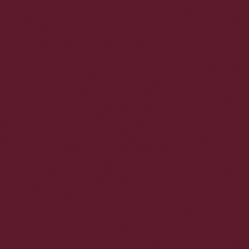 Naj-Oleari Lasting Embrace Lip Colour 5 ml 10 Dark Burgundy Mat