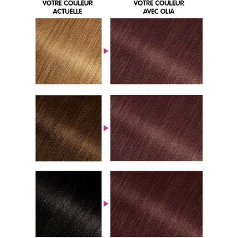 Garnier Olia Ammonia-Free Oil-Based 4.15 Chestnut Brown Hair Dye