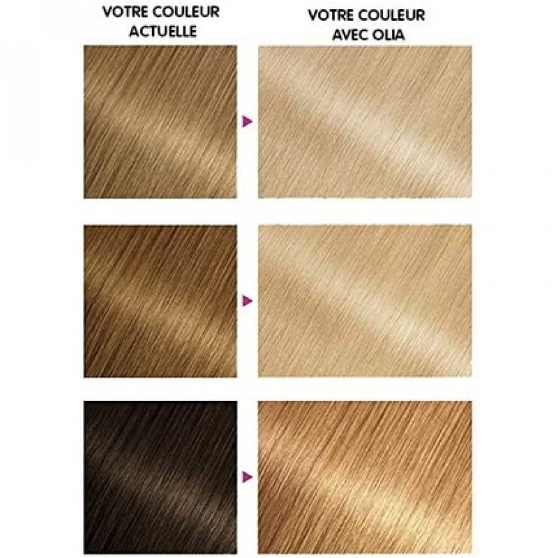 Garnier Olia Permanent Hair Color Oil Painting Without Ammonia Blonde D Maxi Bleaching