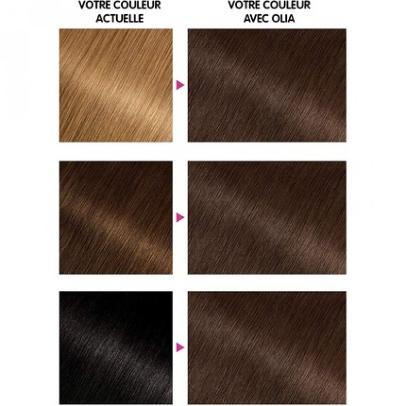 Garnier Olia Ammonia-free Oil-based Chestnut Hair Dye Châtain Clair Fondant 1 Count