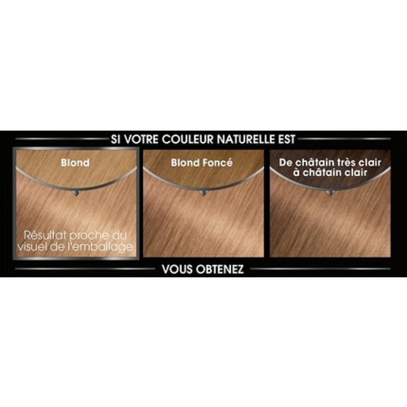 8.31 Ash Golden Blonde Permanent Hair Color