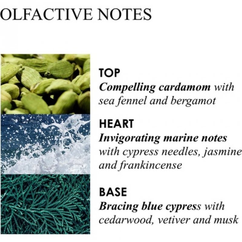 Molton Brown Coastal Cypress & Sea Fennel Infinite Bottle 400ml