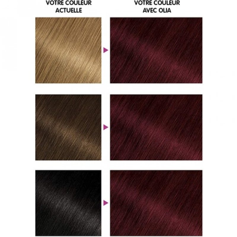 Garnier Olia Permanent Hair Dye Ammonia-Free Natural Flower Oils 4.62 Crimson Velvet