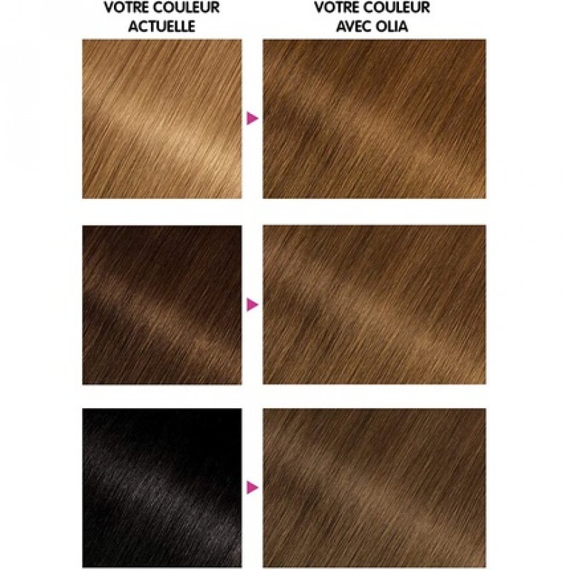 Garnier Olia Permanent Hair Color Ammonia Free 6.3 Golden Honey