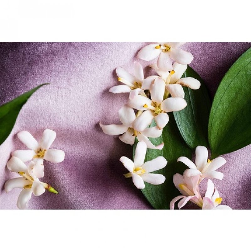 KORRES Jasmine Smoothing Body Milk with Aloe Vera 200ml