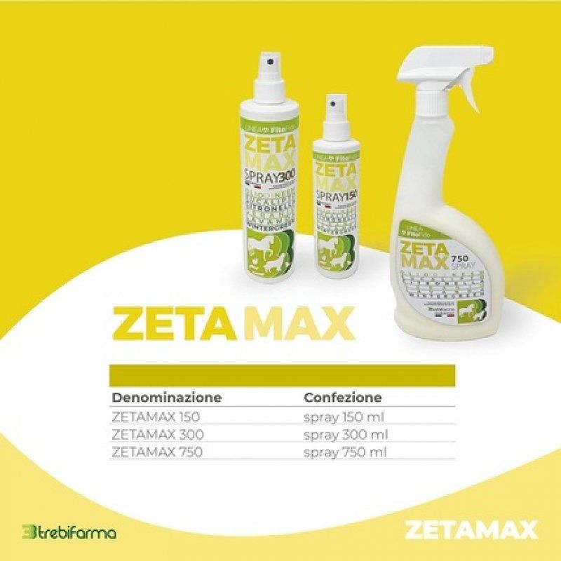 Zetamax Pump Spray 300ml