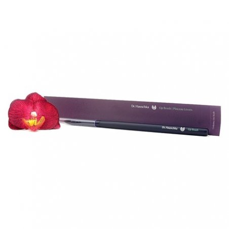 Dr. Hauschka Lip Brush