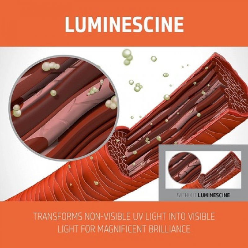 Goldwell Dualsenses Color Revive Icy Blonde 200ml