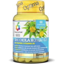 Rhodiola Rosea Plus 60 Tablets