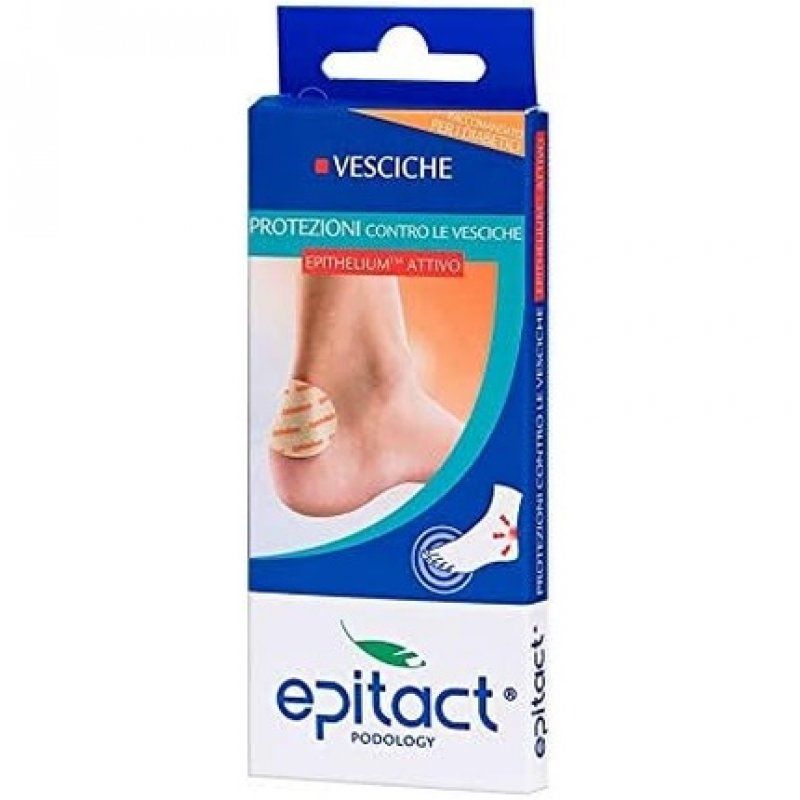 Epitact Prot Vescic Epithelium