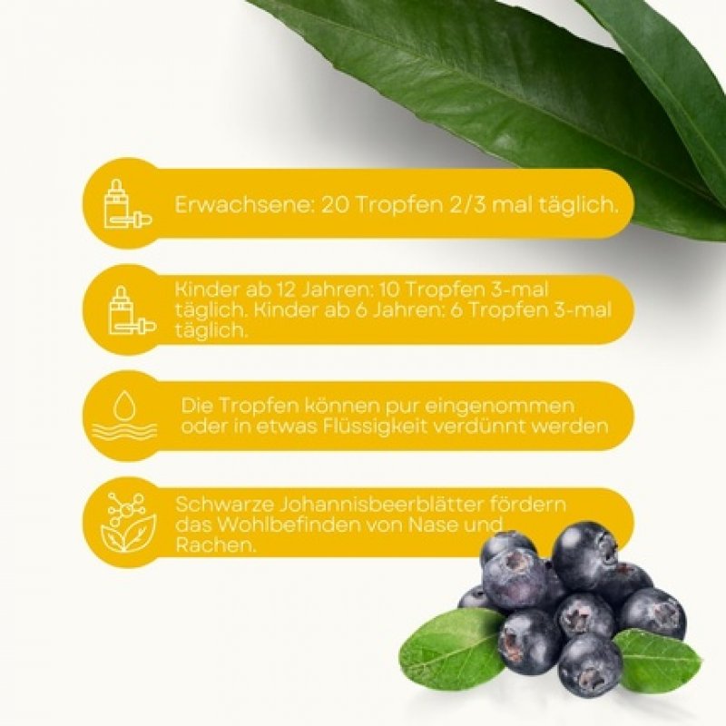 Lemuria Black Currant Total Extract 1:1 for Nasal and Throat Health 100ml