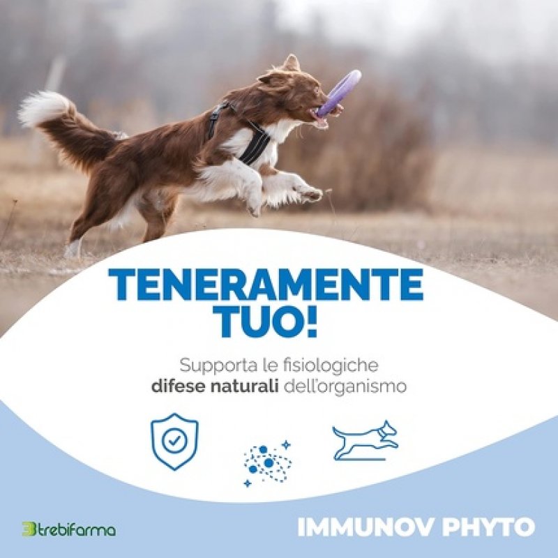 Trebifarma Immunovet Phyto Dietary Supplement 40 Capsules