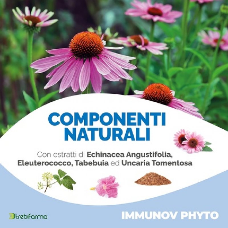 Trebifarma Immunovet Phyto Dietary Supplement 40 Capsules