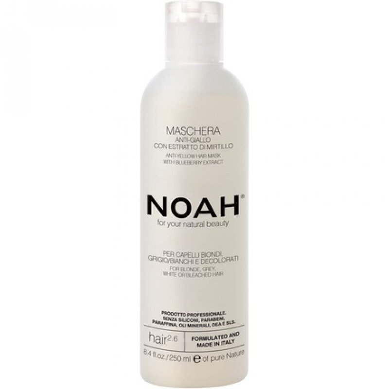 NOAH 2.6 Anti-Yellow Hair Mask With Blueberry Extract 250ml - Made in Italy - Cruelty Free No SLS or Parabens - Nickel