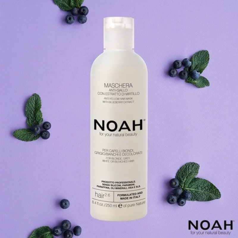 NOAH 2.6 Anti-Yellow Hair Mask With Blueberry Extract 250ml - Made in Italy - Cruelty Free No SLS or Parabens - Nickel
