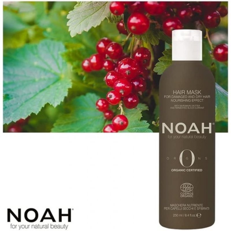 NOAH Origins COSMOS ORGANIC Hair Mask for Damaged and Dry Hair 250ml - Made in Italy - Cruelty Free Nickel Tested