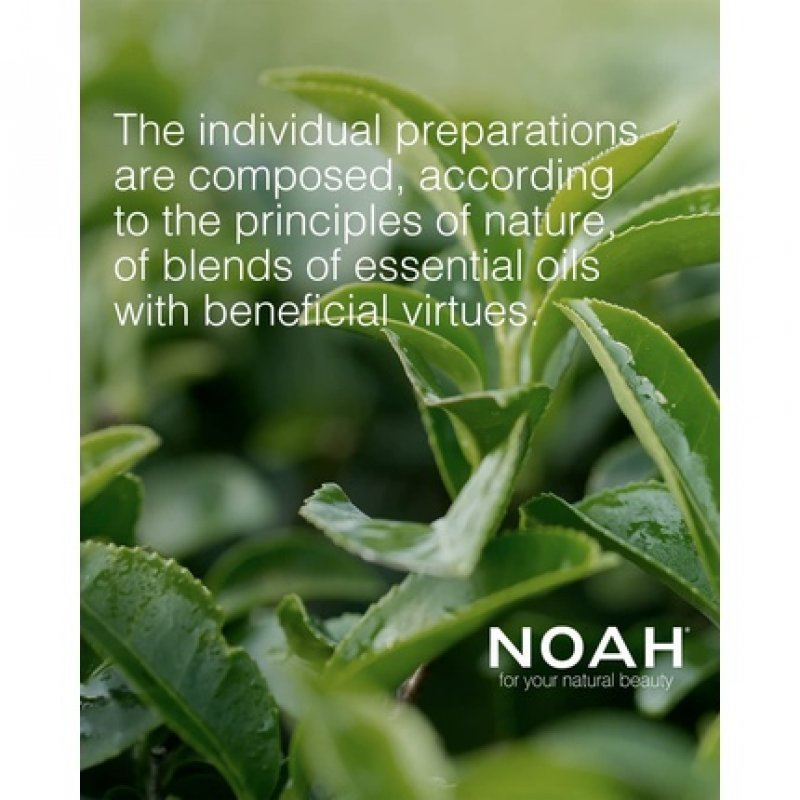 NOAH 1.2 Moisturizing Shampoo with Sweet Fennel and Wheat Protein 1000ml - Made in Italy - Cruelty Free Nickel Tested