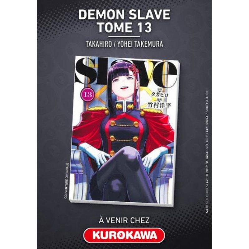 Demon Slave - Tome 13