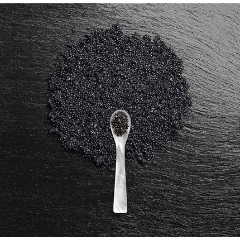 Caviar Replenishing Moisture Shampoo Back Bar 1000ml