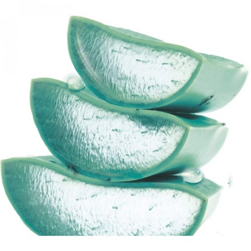 Garnier Hyaluronic Aloe Micellar Cleansing Water 400ml