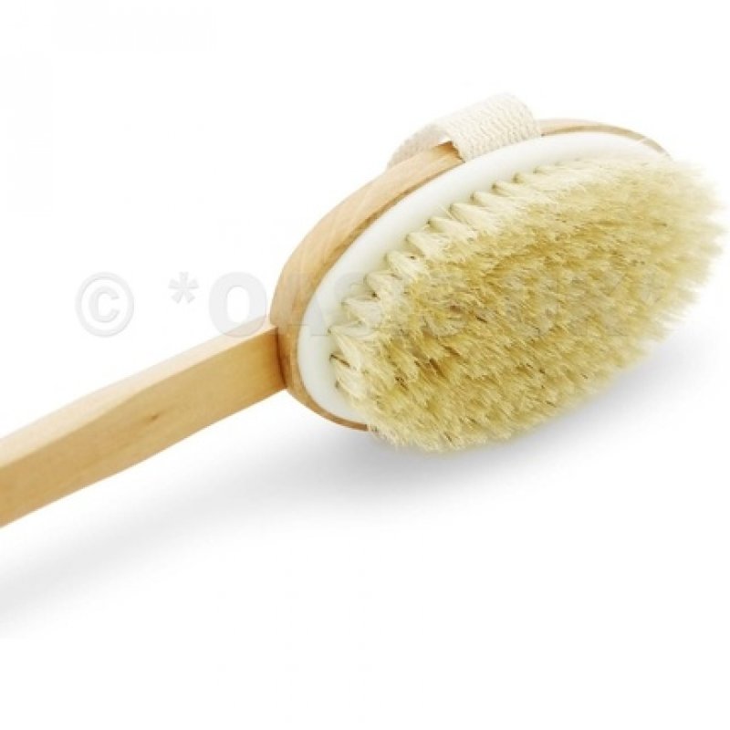 Top Choice Wooden Body Brush Massager 17 Inches