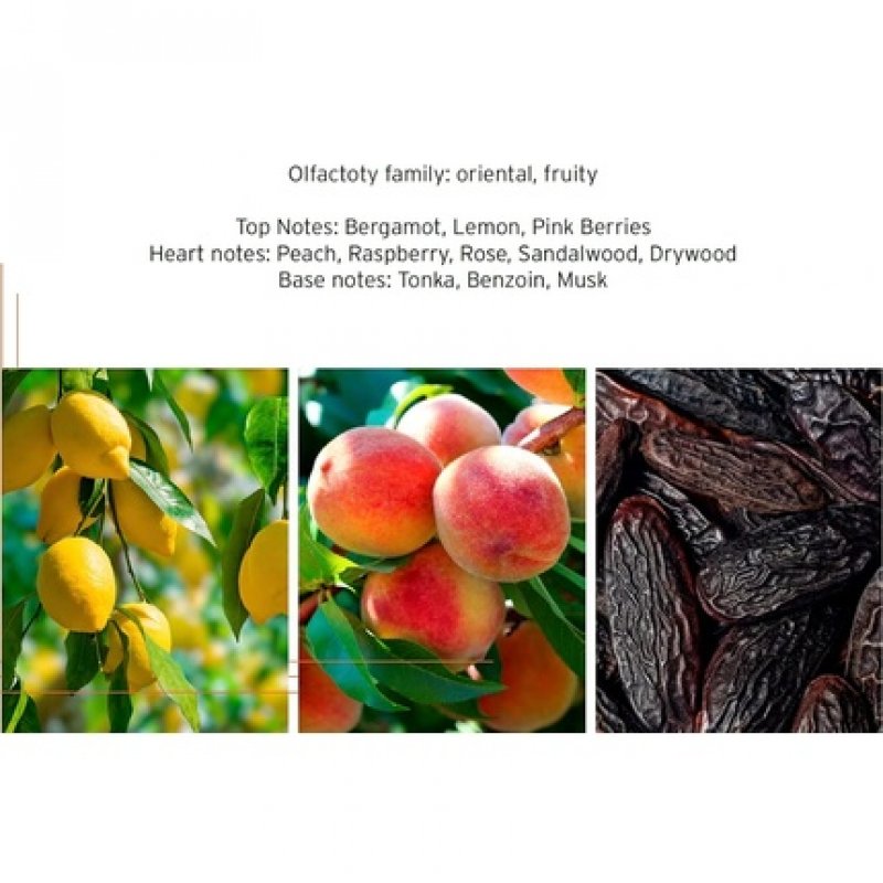 HEAD Elite Womens Fragrance Perfume Eau De Toilette EDT 100ml 3.4oz