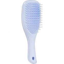 Tangle Teezer The Mini Wet Detangler Hairbrush for Wet and Dry Hair Perfect for Kids and Traveling Eliminates Knots and