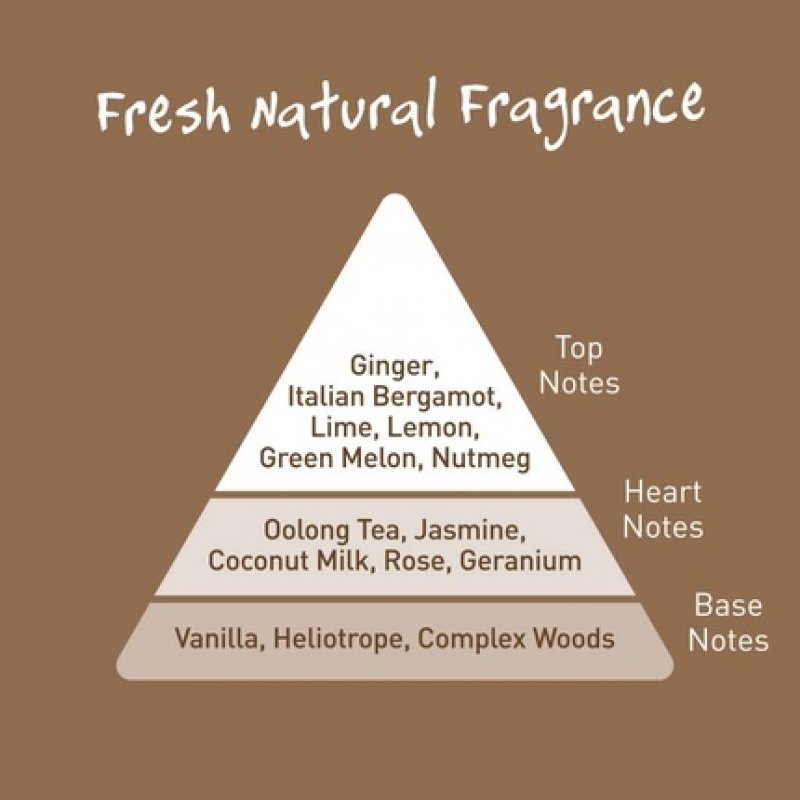 Salt of the Earth Natural Deodorant Spray Vegan Long Lasting Protection Refillable Leaping Bunny Approved Cloudy Ginger