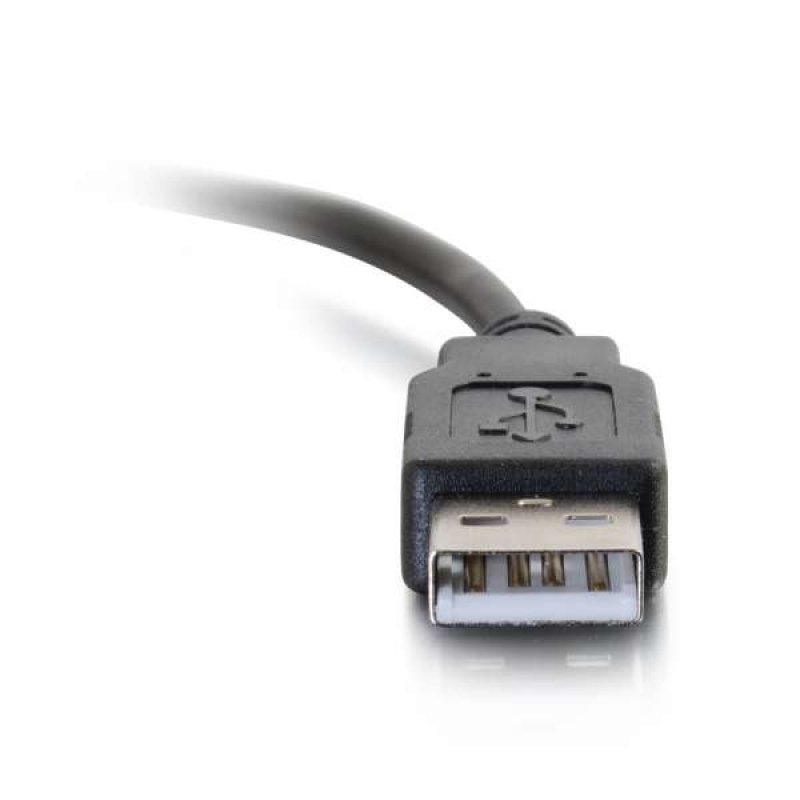 12ft USB 2.0 Type C Male to A Male