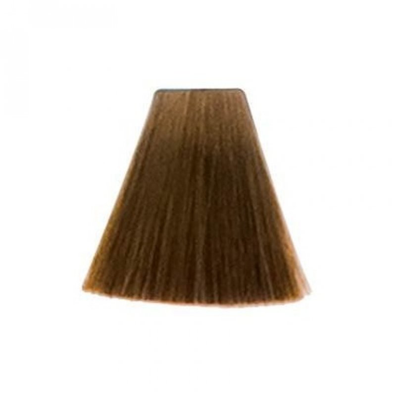 TopChic Hair Color 60ml Gw 7na