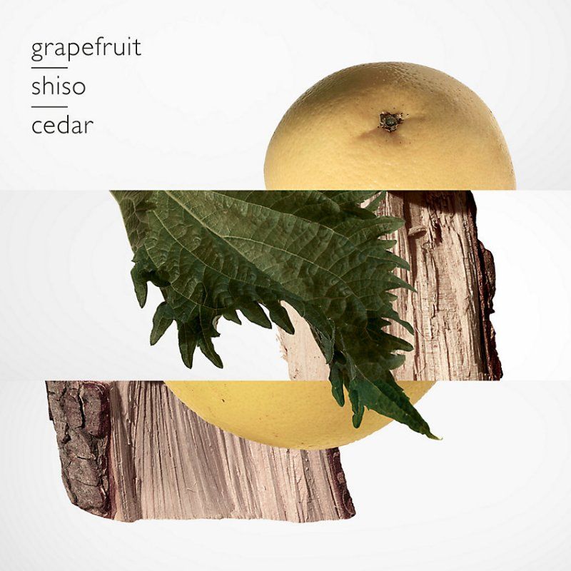 Hermes Terre d' Eau De Parfum 75 ml