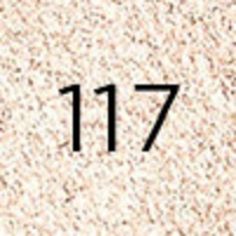 Diego dalla Palma Pearly Eyeshadow ombre à paupière 117 Light champagne Perle