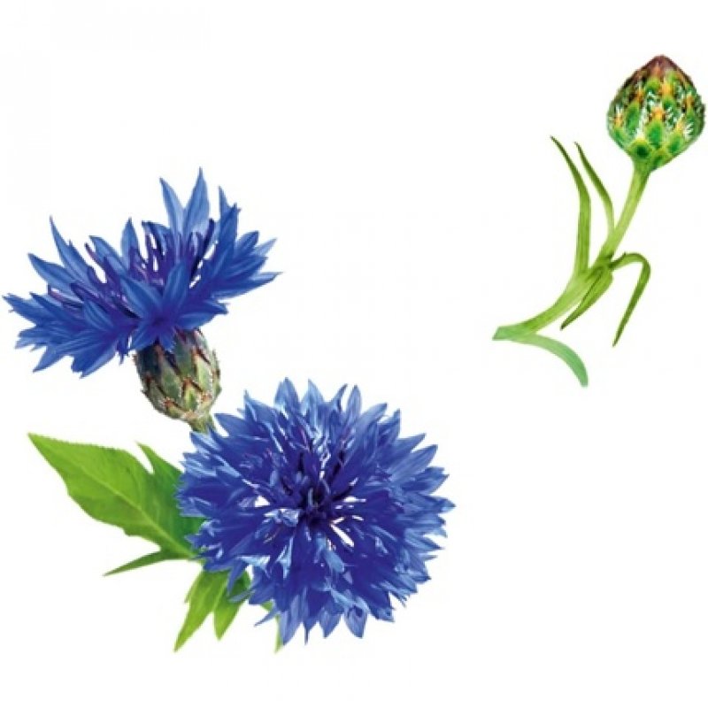 Guhl Long-Lasting Volume Shampoo 250ml